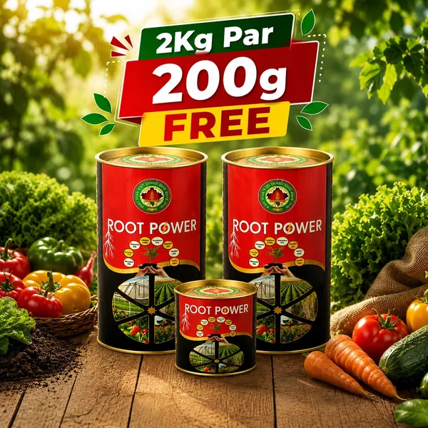 Rkdvs_Root_Power_Organic_Fertilizer_Combo_2_Kg_Plus_200G_Free