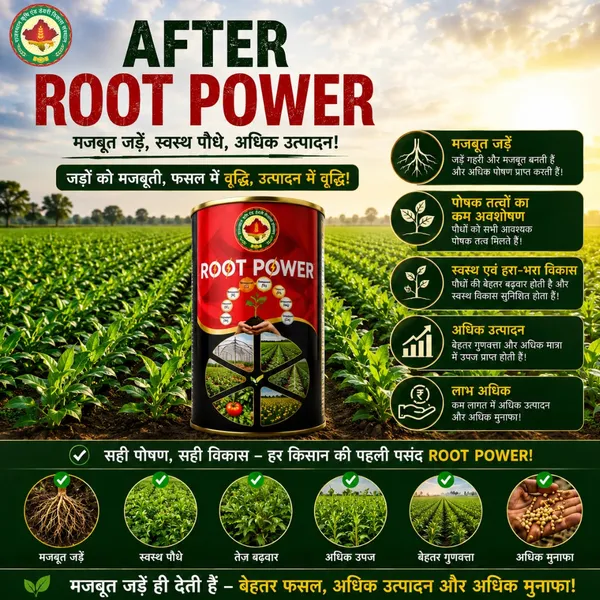 Rkdvs_Root_Power_Organic_Fertilizer_Combo_2_Kg_Plus_200G_Free