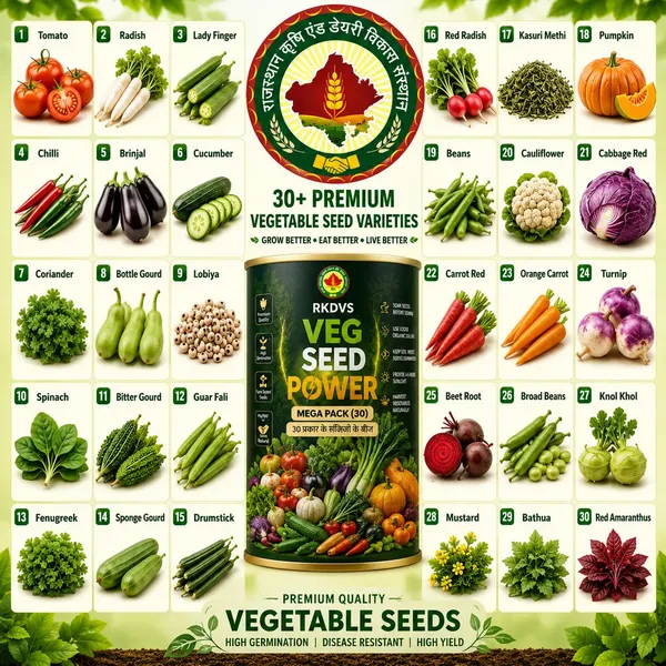 Rkdvs_Home_Garden_Vegetable_Seed_Kit_Mega_Pack_45_Varieties