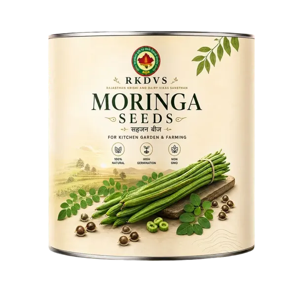 Rkdvs_Moringa_Drumstick_Tree_Seeds
