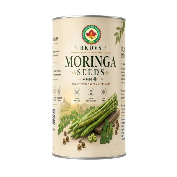Rkdvs_Moringa_Drumstick_Tree_Seeds