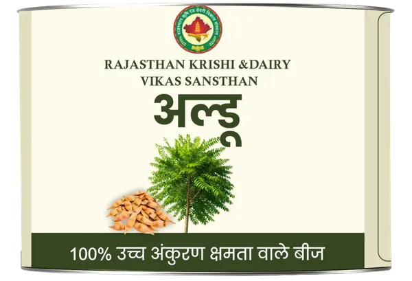 Rkdvs_Ardu_Ailanthus_Excelsa_Arid_Region_Seeds