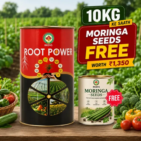 Rkdvs_Root_Power_Humic_Acid_Soil_Booster_Combo_10Kg
