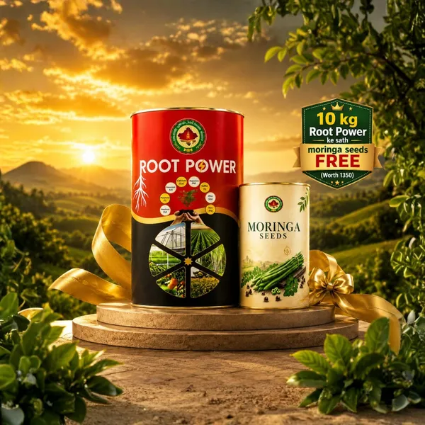 Rkdvs_Root_Power_Humic_Acid_Soil_Booster_Combo_10Kg