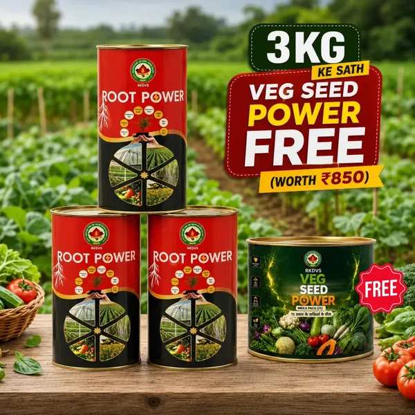 Rkdvs_Root_Power_Humic_Acid_Soil_Booster_Combo_3Kg