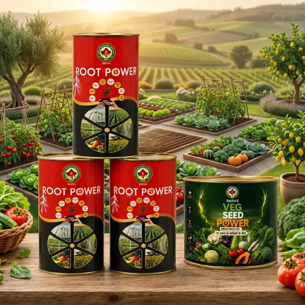 Rkdvs_Root_Power_Humic_Acid_Soil_Booster_Combo_3Kg