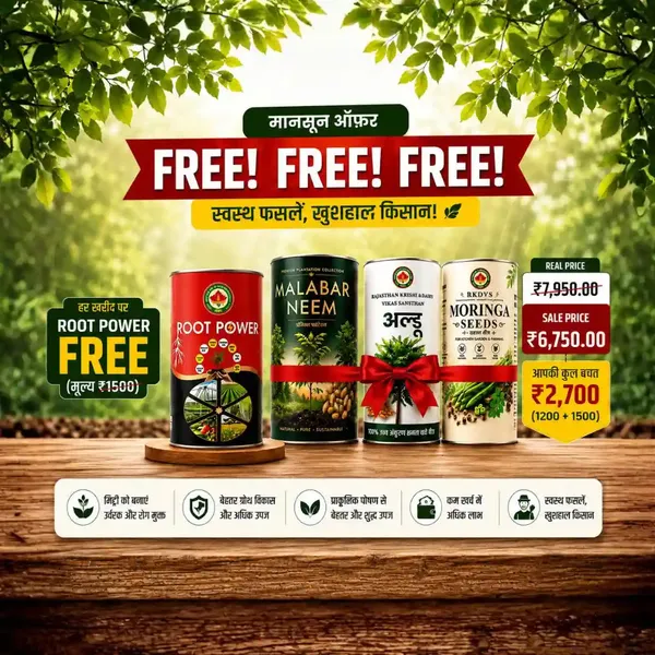 Rkdvs_Moringa_Malabar_Neem_Ardu_Plant_Seeds_Combo