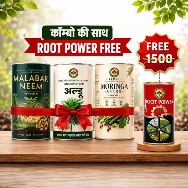Rkdvs_Moringa_Malabar_Neem_Ardu_Plant_Seeds_Combo