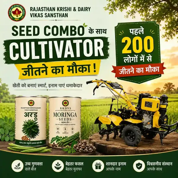 Rkdvs_Moringa_And_Ardu_Seeds_Combo_Pack