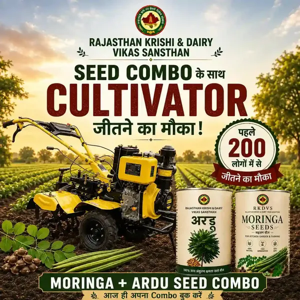Rkdvs_Moringa_And_Ardu_Seeds_Combo_Pack