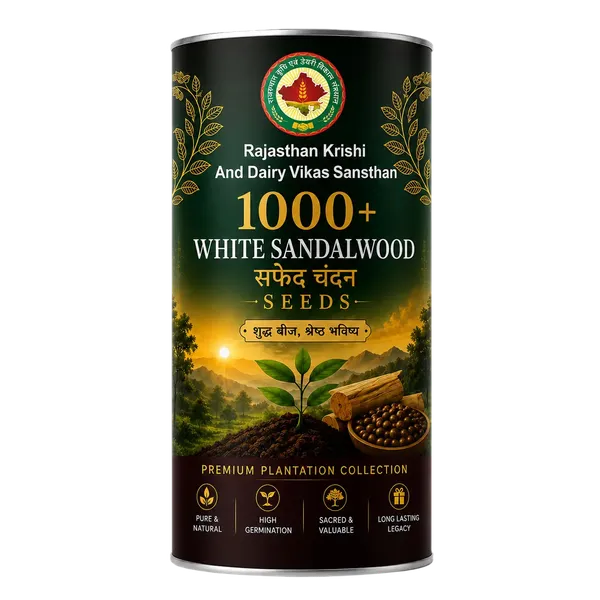 Rkdvs_White_Sandalwood_Santalum_Album_Seeds_1000_Seeds