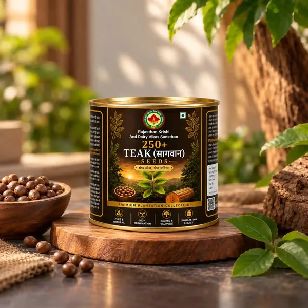 Rkdvs_White_Sandalwood_Santalum_Album_Seeds_250_Seeds
