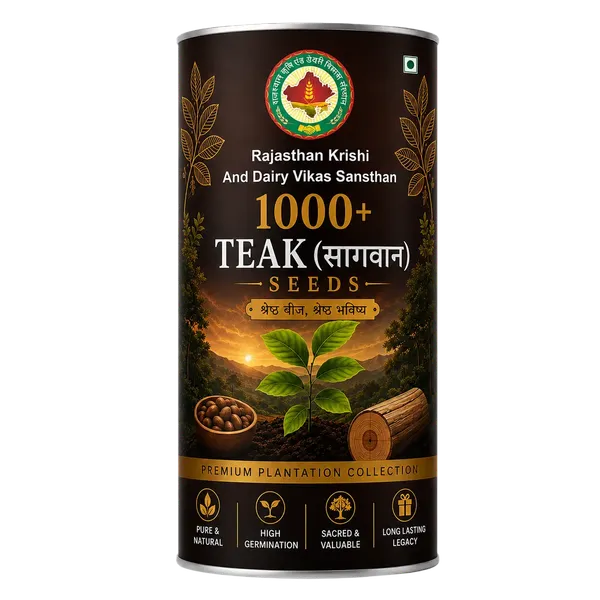Rkdvs_Teak_Sagwan_Plantation_Seeds