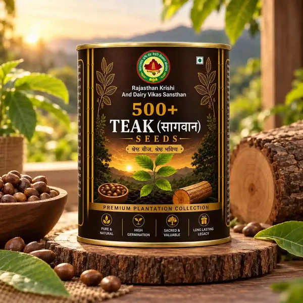 Rkdvs_Teak_Sagwan_Plantation_Seeds