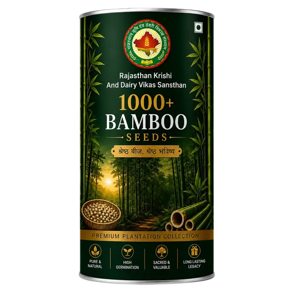 Rkdvs_Bamboo_Plantation_Seeds