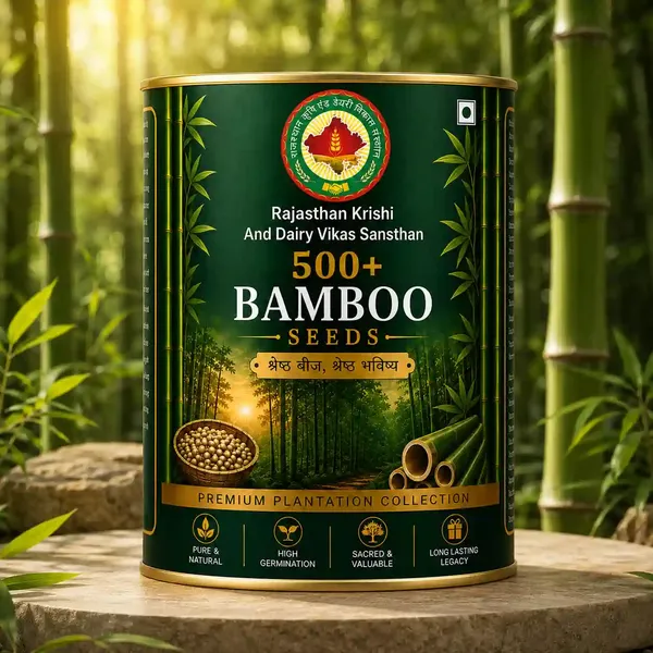 Rkdvs_Bamboo_Plantation_Seeds_500_Seeds