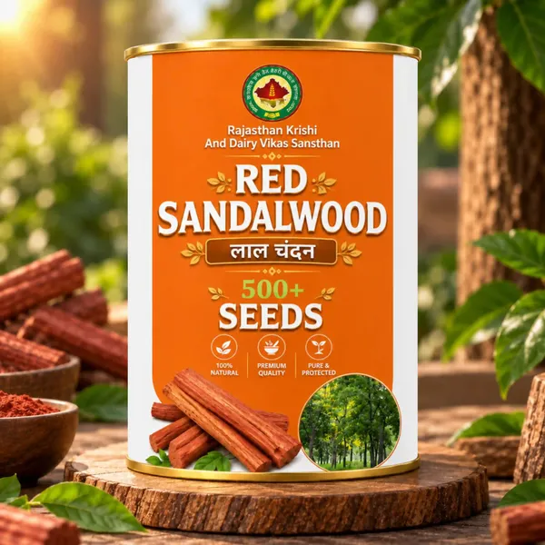 Rkdvs_Red_Sandalwood_Laal_Chandan_Seeds_Pack_Of_500