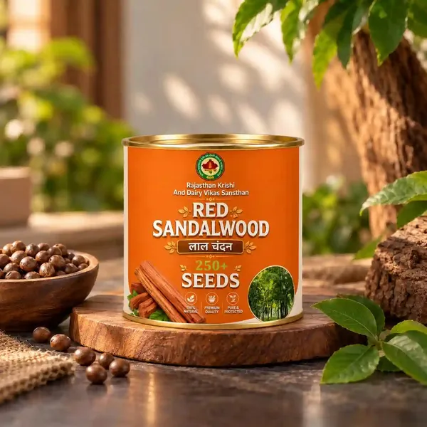 Rkdvs_Red_Sandalwood_Laal_Chandan_Seeds