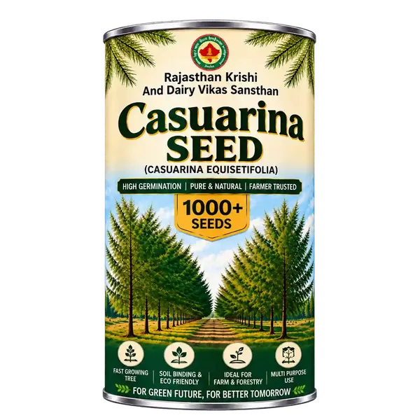 Rkdvs_Casuarina_Equisetifolia_Fast-Growing_Tree_Seeds