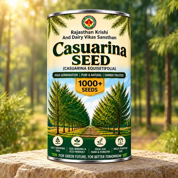 Rkdvs_Casuarina_Equisetifolia_Fast-Growing_Tree_Seeds