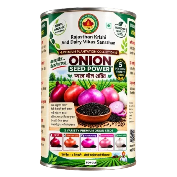 Rkdvs_Onion_Seeds_Akola_Safed_Variety