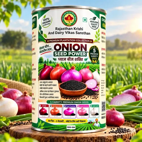 Rkdvs_Onion_Seeds_Akola_Safed_Variety