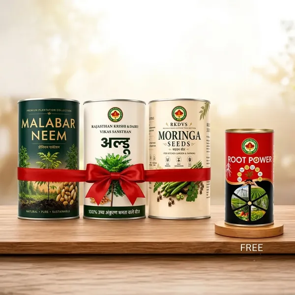 Rkdvs_Moringa_Malabar_Neem_Ardu_Plant_Seeds_Combo