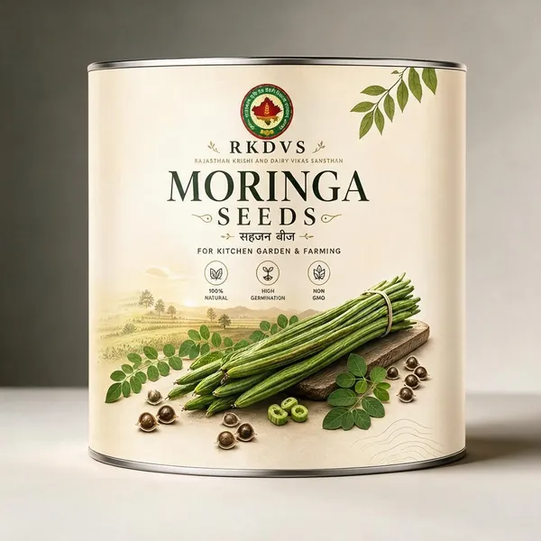 Rkdvs_Moringa_Drumstick_Tree_Seeds