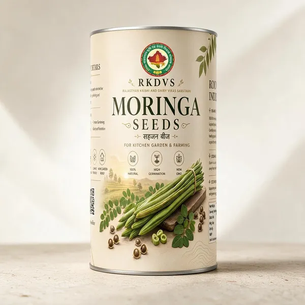 Rkdvs_Moringa_Drumstick_Tree_Seeds
