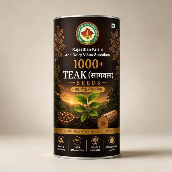 Rkdvs_Teak_Sagwan_Plantation_Seeds