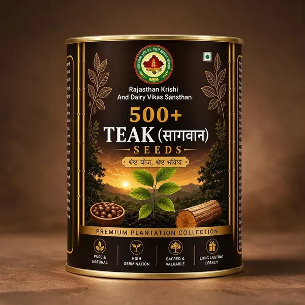 Rkdvs_Teak_Sagwan_Plantation_Seeds