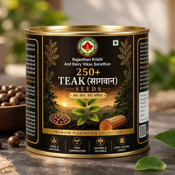 Rkdvs_Teak_Sagwan_Plantation_Seeds