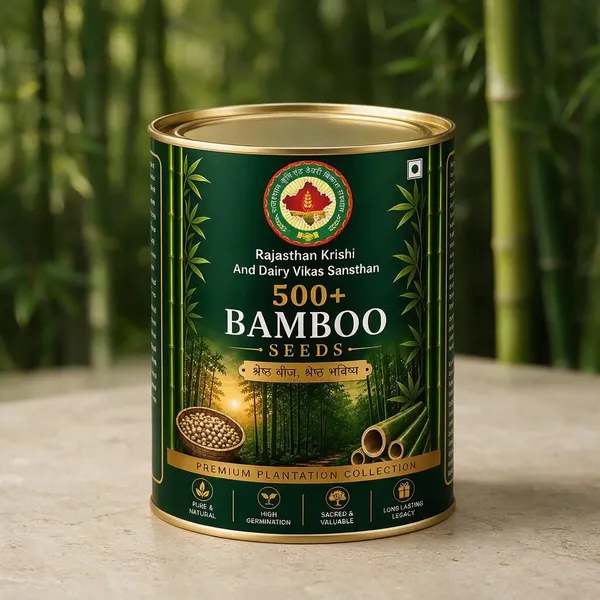 Rkdvs_Bamboo_Plantation_Seeds_500_Seeds