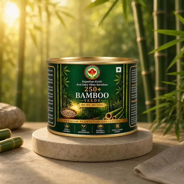 Rkdvs_Bamboo_Plantation_Seeds_250_Seeds