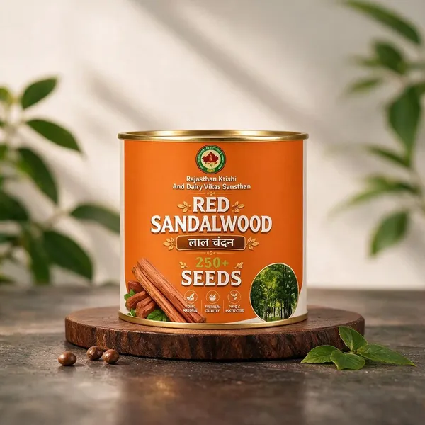 Rkdvs_Red_Sandalwood_Laal_Chandan_Seeds