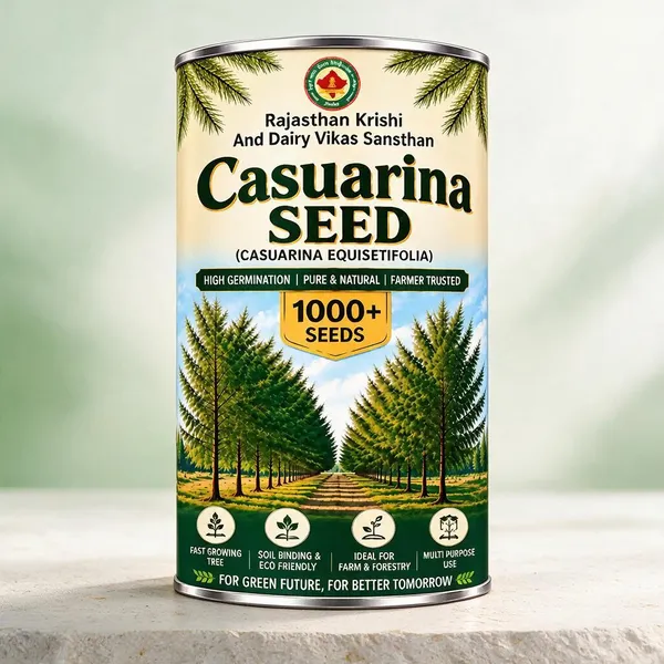 Rkdvs_Casuarina_Equisetifolia_Fast-Growing_Tree_Seeds