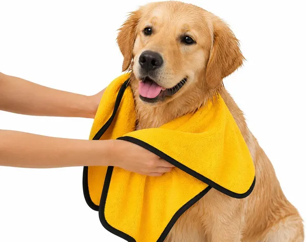 Zytaloon_Pet_Bath_Towel_Grooming_Gloves_For_Dog_&_Cat_Grooming_Gloves_For_Dog_&_Cat,_Dog,_Rabbit,_Monkey_(Blue,_Medium)