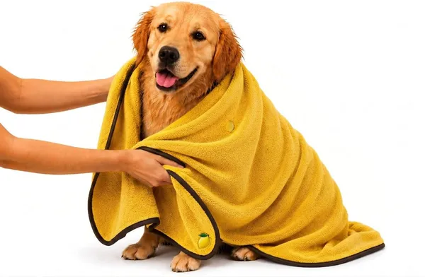Zytaloon_Pet_Bath_Towel_Grooming_Gloves_For_Dog_&_Ca_Grooming_Gloves_For_Dog_&_Cat,_Dog,_Rabbit,_Monkey_(Blue,_Medium)