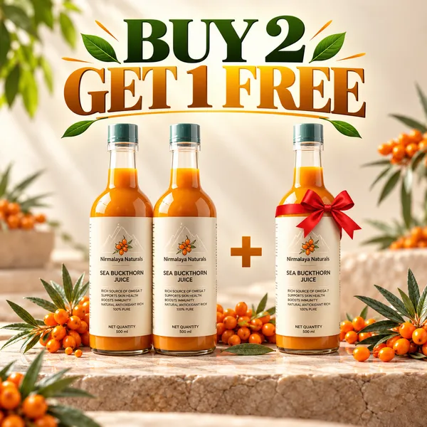 Himalayanberri_Sea_Buckthorn_Juice_500_Ml_Buy_2_Get_1