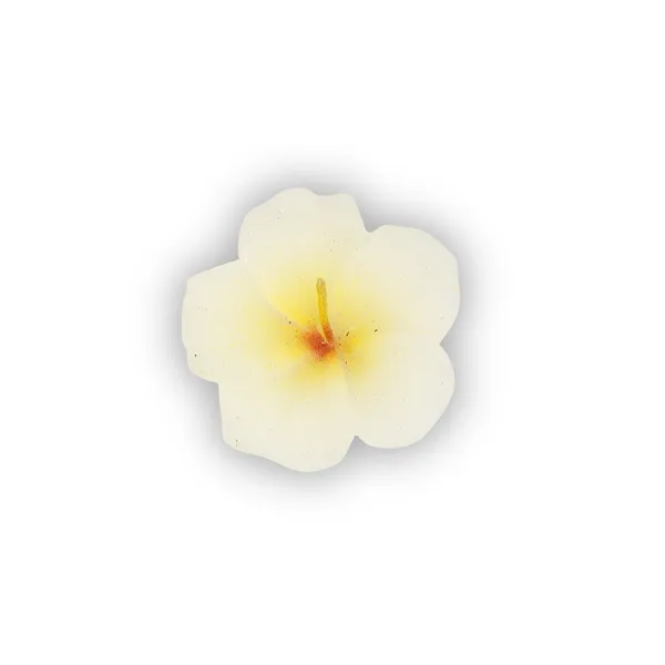 Wax_Festive_Cinnamon_Floating_Flower_Candles_Set_Of_3