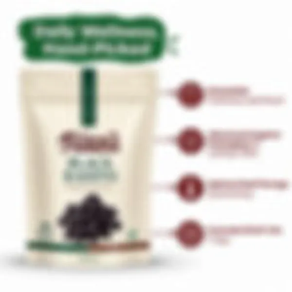 Nutza_Premium_Black_Raisins_Black_Kishmish_Raisins_Dry_Fruit_Snack