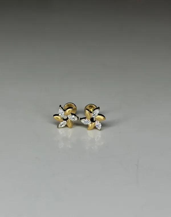 Starlight_Cluster_Premium_Titanium_Studs_For_Women
