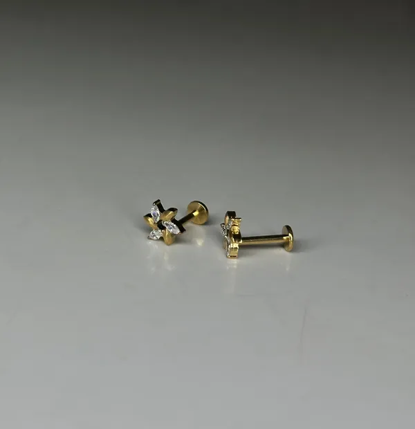 Starlight_Cluster_Premium_Titanium_Studs_For_Women