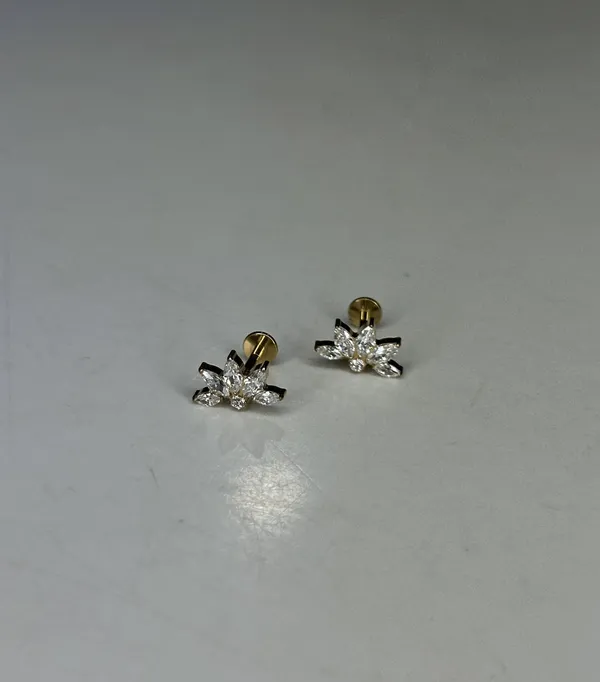Celestial_Wing_Premium_Titanium_Studs_For_Women