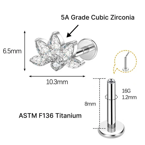 Celestial_Wing_Premium_Titanium_Studs_For_Women