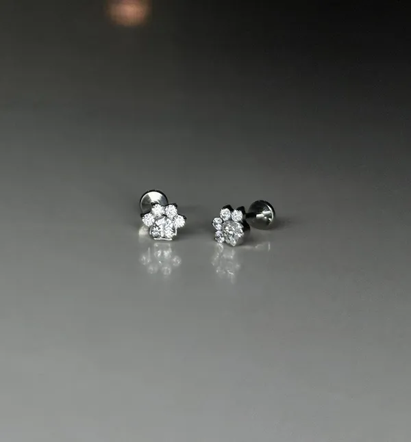 Dainty_Gleam_Premium_Titanium_Studs_For_Women