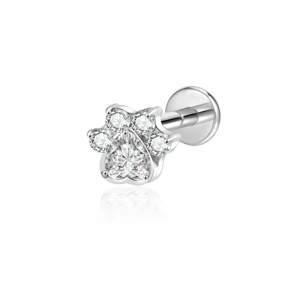 Dainty_Gleam_Premium_Titanium_Studs_For_Women