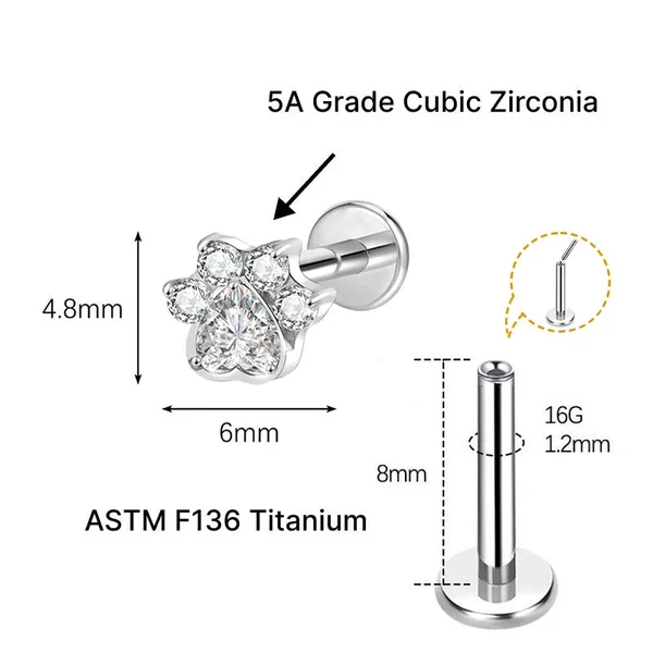Dainty_Gleam_Premium_Titanium_Studs_For_Women