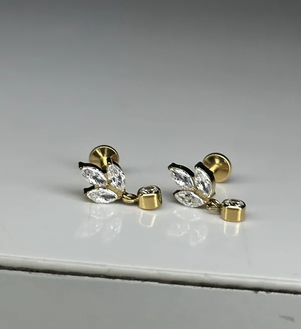 Crystal_Vine_Premium_Titanium_Studs_For_Women