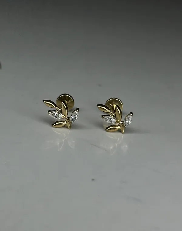 Elegant_Spark_Premium_Titanium_Studs_For_Women